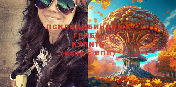 мдпв Покровск