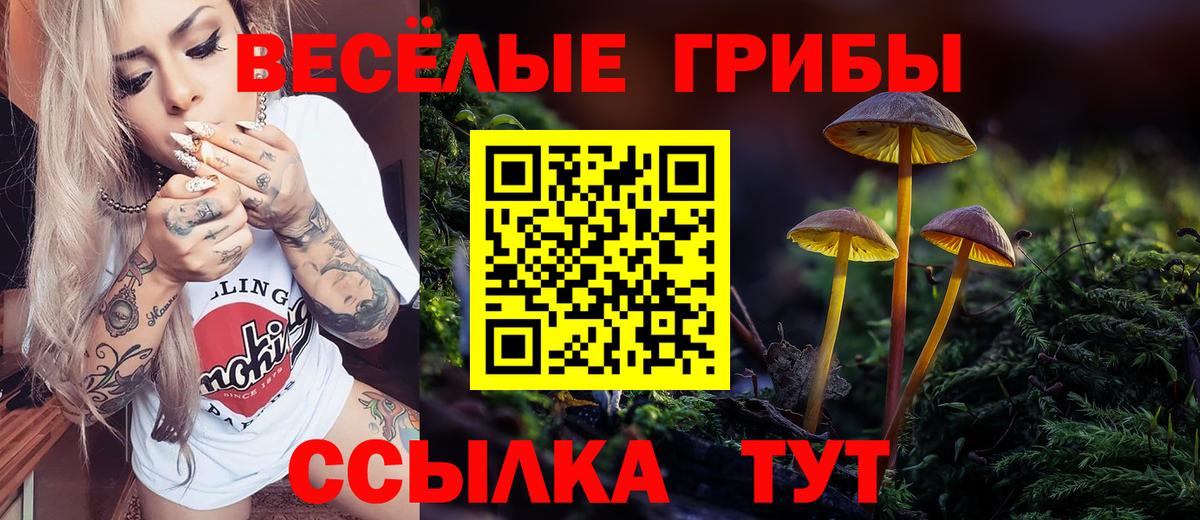 Радужный  Галлюциногенные грибы прущие грибы  Вход с VPN 