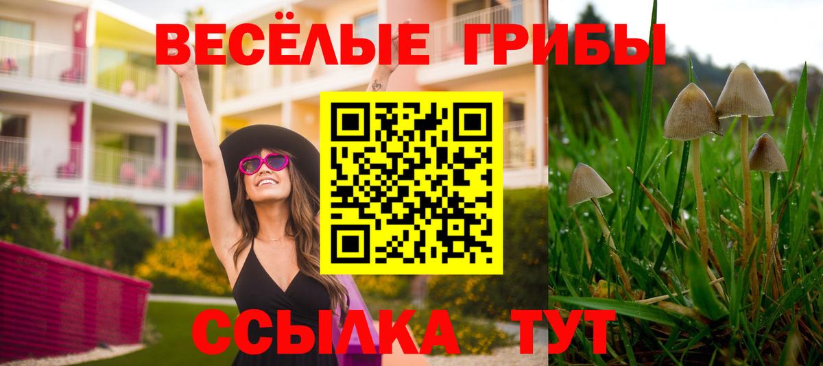 Галлюциногенные грибы Psilocybe Радужный